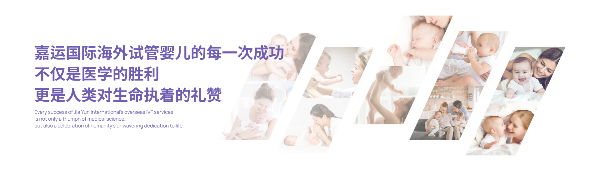 成功案例_嘉运国际_海外试管婴儿