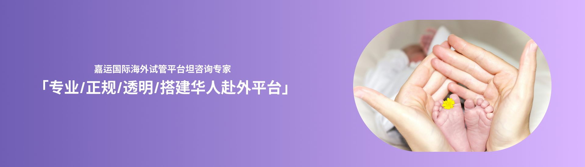 试管婴儿_嘉运国际_海外试管婴儿